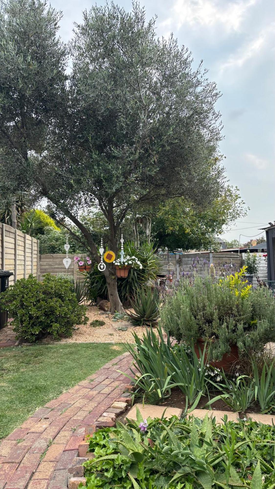 Nigel Seldre Guest House מראה חיצוני תמונה
