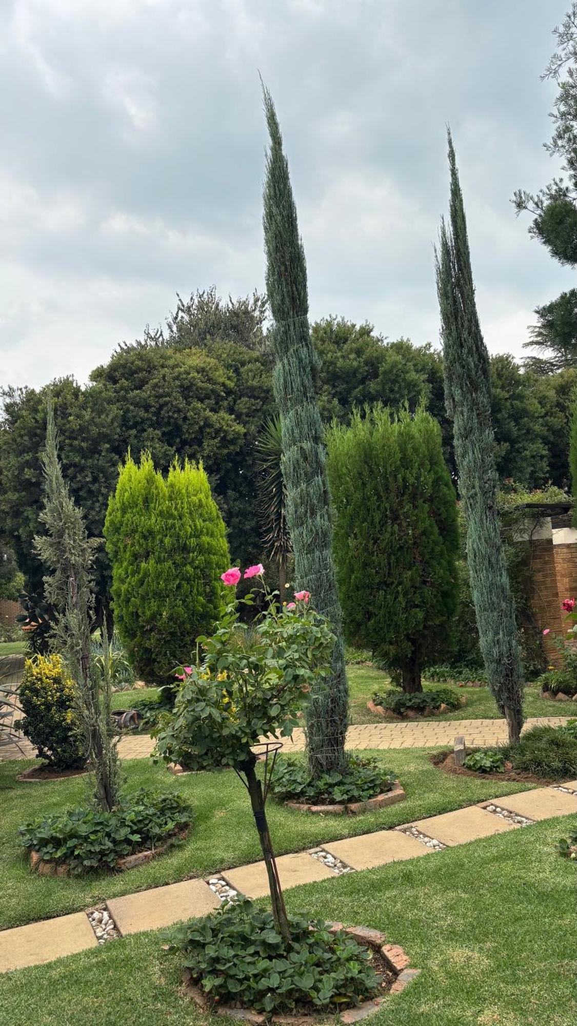 Nigel Seldre Guest House מראה חיצוני תמונה