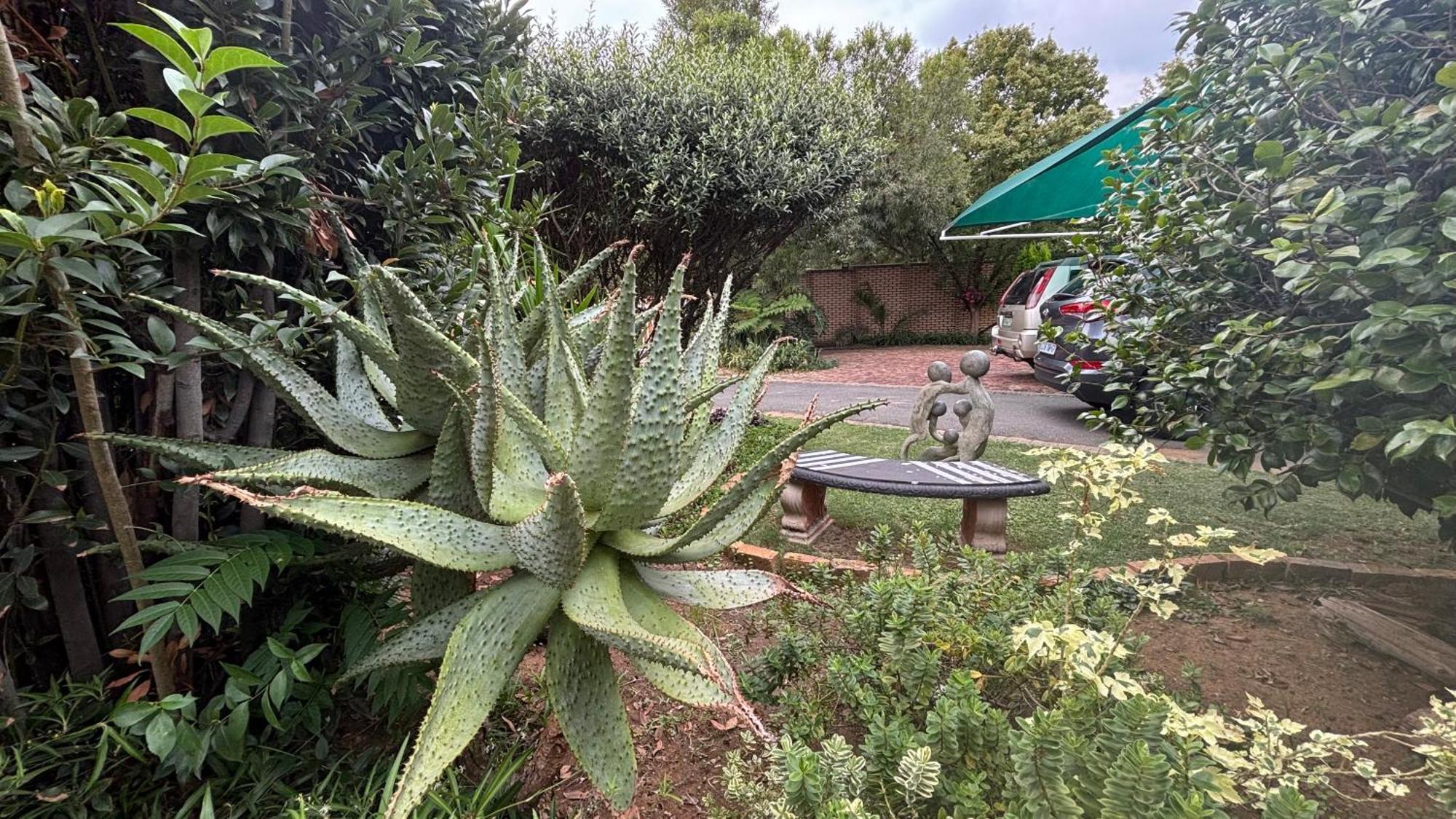 Nigel Seldre Guest House מראה חיצוני תמונה